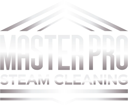 Master Pro Steam Cleaning Logo